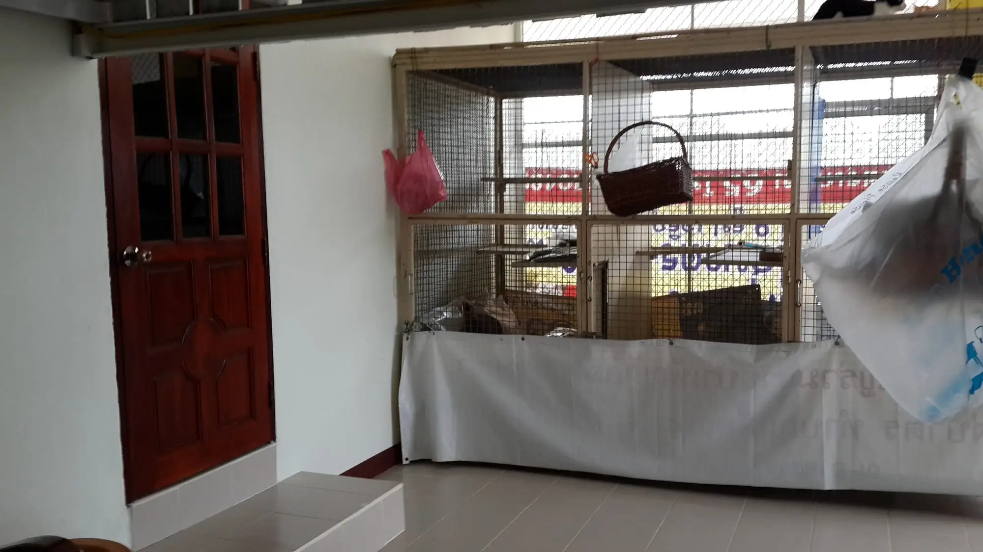 The indoor cat room with its wire enclosure
