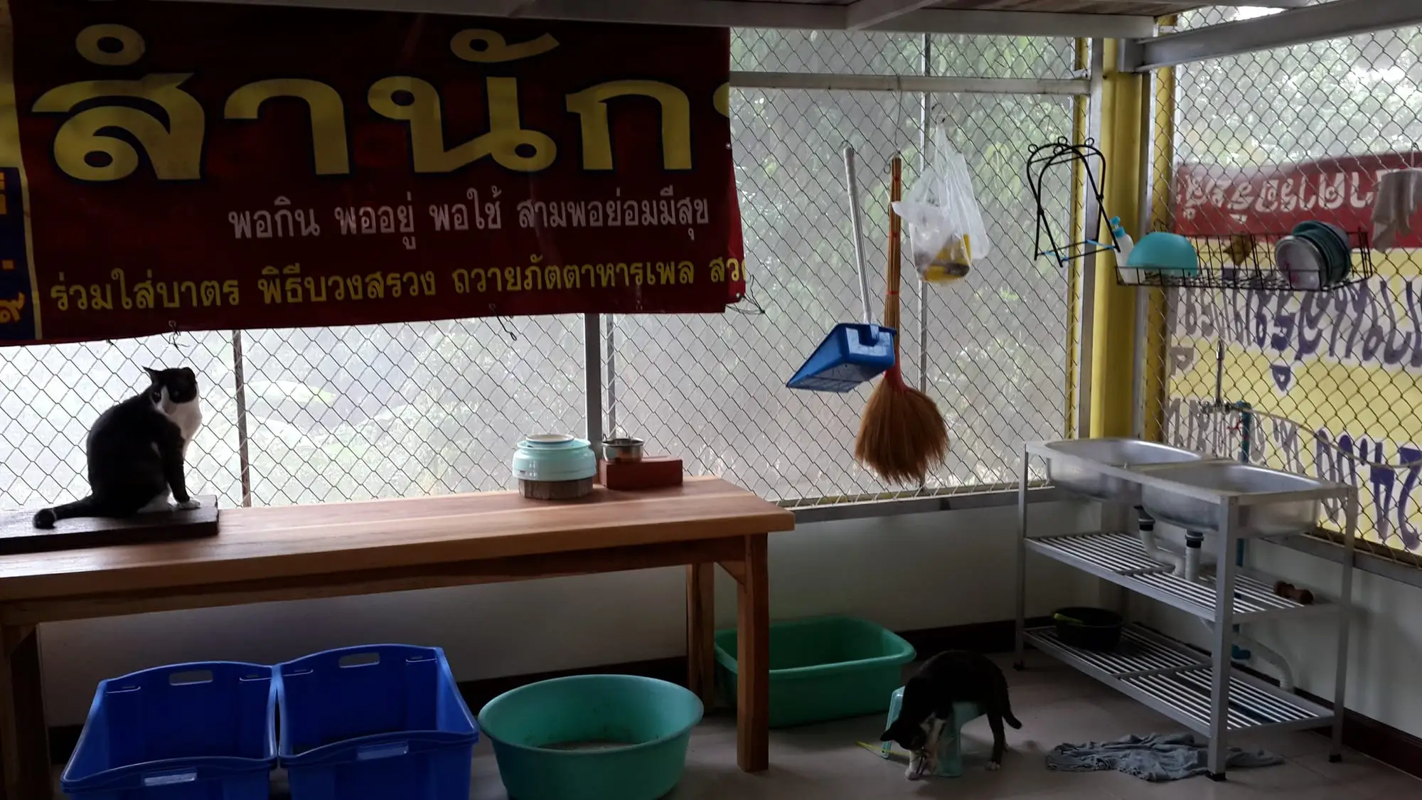 Feeding area