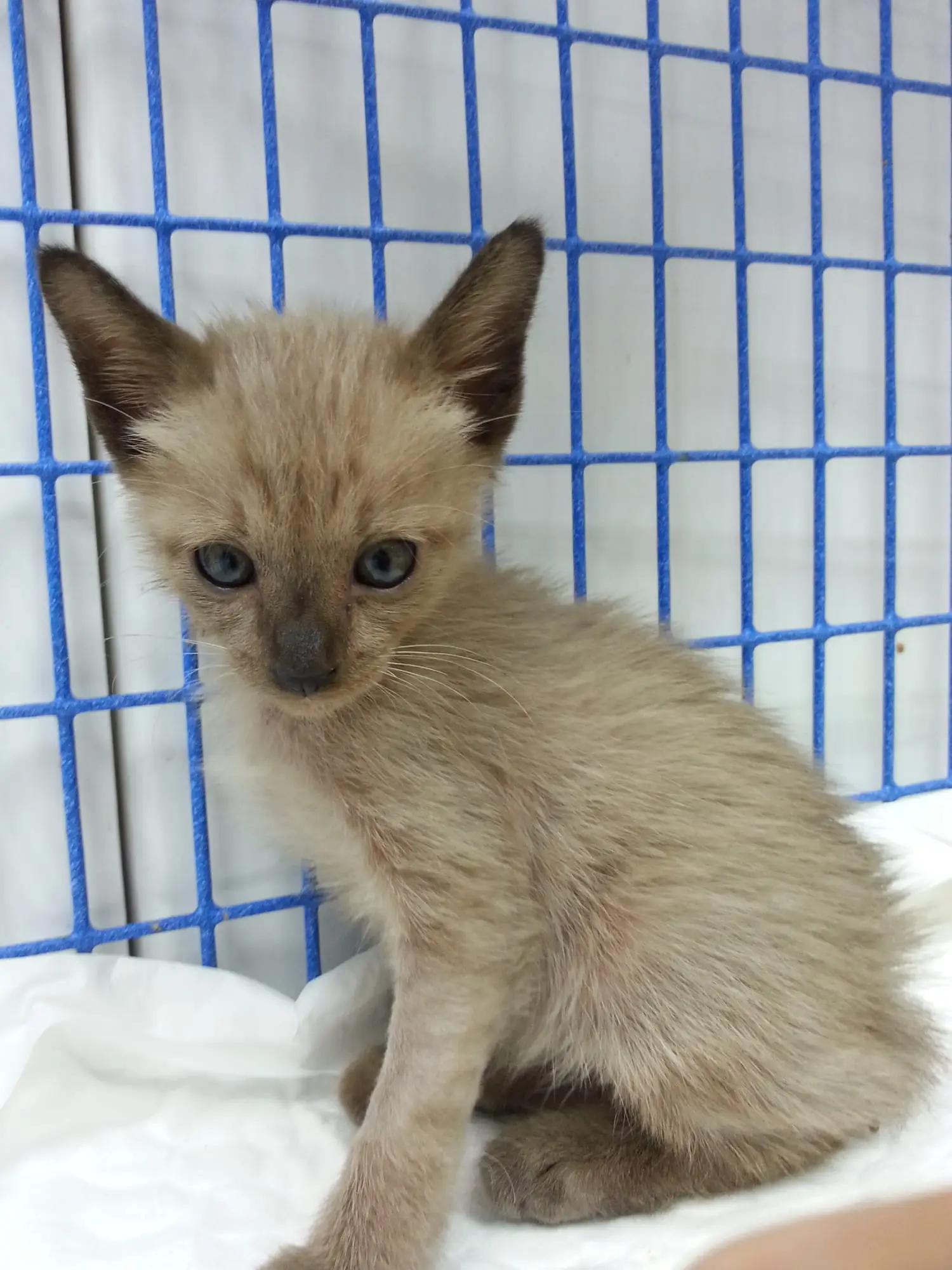 Lucky